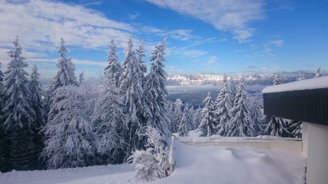 Clos Des Gentianes Allevard Exteriér fotografie
